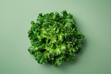 Wall Mural - Fresh green lettuce on green