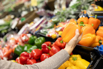 A woman's hand selects fresh yellow bell peppers in the vegetable section of a supermarket. The concept of choosing quality ingredients for cooking