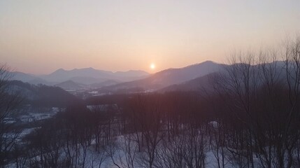 Wall Mural - A serene sunset view over mountains with a soft gradient sky and silhouetted trees.