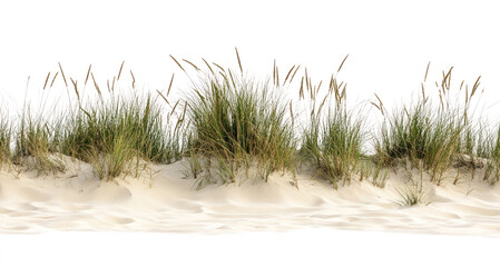 Sticker - PNG Summer beach grasses nature sand.