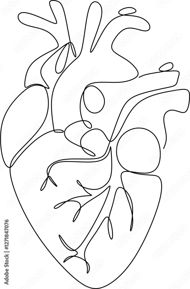 Single continuous line art anatomical human heart silhouette. Healthy ...
