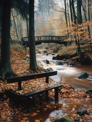 Wall Mural - Wooden Bench in Forest