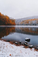 Wall Mural - snowy forest lake