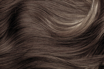 Wall Mural - Brown hair close-up as a background. Women's long brown hair. Beautifully styled wavy shiny curls. Hair coloring. Hairdressing procedures, extension.