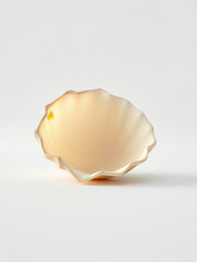 Sticker - Exquisite empty seashell rests on a pristine white surface,  serene,  delicate,  minimalist,  elegant,  coastal