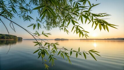 Sticker - Delicate green bamboo leaves floating on the surface of a serene lake at sunrise, bamboo forest, foliage