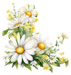 Wall Mural - PNG Daisy flower corner frame daisies flowers daisy.