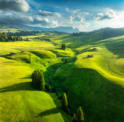 Wall Mural - aerial view of green alpine meadows with houses on the hills at sunset in summer. top view of mounta