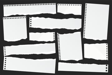Wall Mural - ripped paper strips. realistic crumpled paper scraps with torn edges. shreds of notebook, book or ol