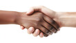 © natalystudio - African hand shaking white hand