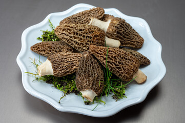 Wall Mural - Raw spring mushrooms morchellas or true morels edible sac fungi for gourmet cooks, in Catalan and French cuisine