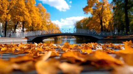 Wall Mural - autumn leaves on ground near peaceful bridge sunny day