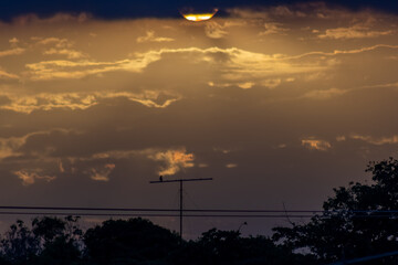 Wall Mural - sunset in the evening sky with clouds and birds in the foreground