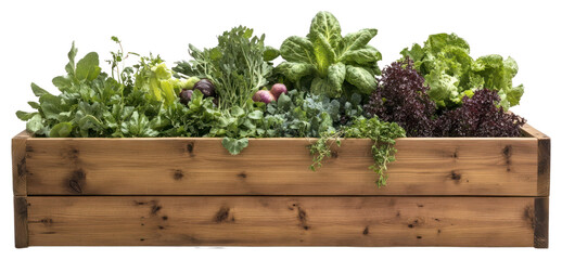 Wall Mural - PNG Wooden raised bed filled with various vegetables and herbs planter produce sustainable.