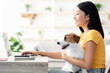© Prostock-studio - Pretty millennial asian woman in casual freelancer working from home with her cute fluffy doggy, typing on laptop keyboard, holding jack russel dog on her lap, side view, copy space