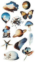 Canvas Print - png aesthetic photography film glitter element set on transparent background