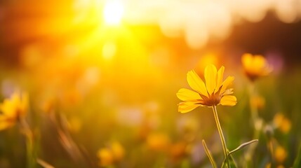 Poster - Radiant Yellow Flower Blooming in Bright Sunlight with Flare Effects : Generative AI