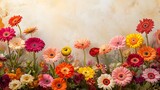 Multicolored gerbera daisies with bright hues of pink, orange, yellow, and red, symmetrically framing the image, central blank space left open with a light textured backdrop, softly diffused sunlight,