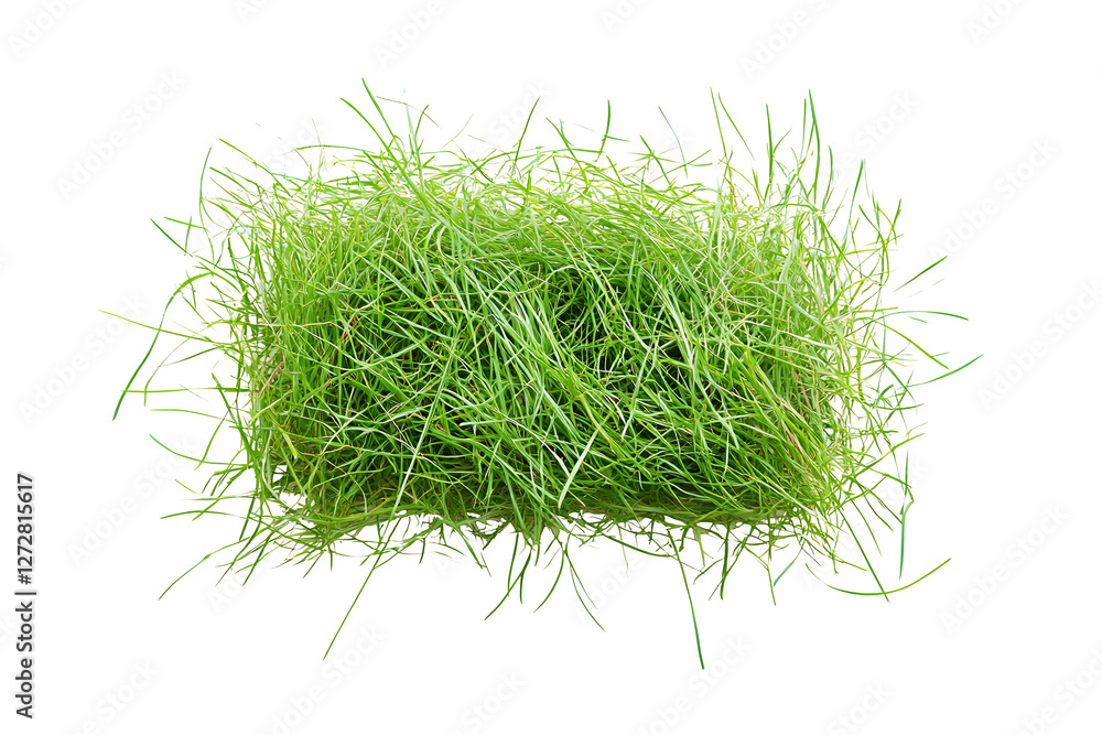 Resolution image patch of fresh green lawn grass isolated on cut out ...