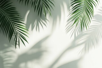 Wall Mural - Tropical leaves shadow wall background mockup