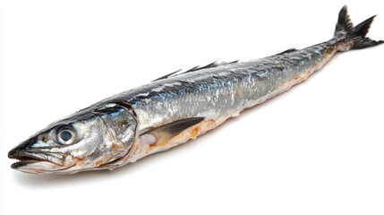 Wall Mural - Raw barracuda fillet, isolated on white, showcasing its firm, clean texture and mild flavor perfect for grilling or ceviche