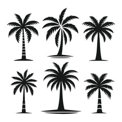 Vector black silhouette set of palm trees on a white background, a simple flat illustration