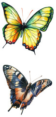 Wall Mural - Watercolor butterflies in nature colorful artwork vibrant environment translate background viewpoint