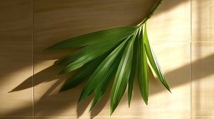 Wall Mural - Palm frond on beige tile floor, sunlight casts shadows