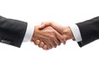 © EmBaSy - Business negotiation handshake office conceptual image