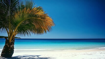 Poster - Stunning Tropical Landscape with Palm Tree and Clear Blue Sea : Generative AI