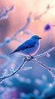 © Валерий Тодаренко - bluebird perched on frosty branch under glowing light, isolated serene background, symbolic composition of resilience and natural beauty, tranquil artistic harmony
