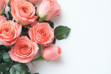 Wall Mural - Fresh pink roses arranged neatly on a white surface