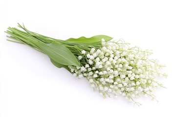 Wall Mural - A bouquet of white flowers arranged on a clean and pure white surface