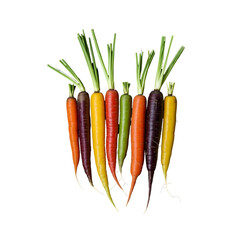 Wall Mural - Colorful rainbow carrots, vibrant heirloom vegetables, dark moody background, high contrast lighting