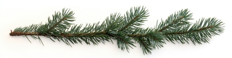 Wall Mural - A single pine tree branch on a white surface, ideal for design and photography projects