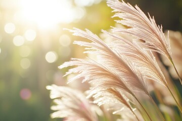 Poster - Blades of tall grass in focus