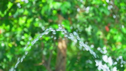 Wall Mural - Closeup footage of a water arch against blurred background of green trees on a sunny day