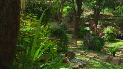 Wall Mural - Lush garden with stairway in the middle surrounded by greenery and gentle sunlight