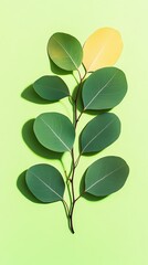 Wall Mural - Bright green leaves on a vibrant background, showcasing the beauty of nature and simplicity in design.