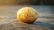 © ABX - A single raw potato on a plain surface, earthy and natural