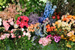 © Austockphoto - Wide shot of colourful floral arrangement