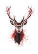 © Mortin - Cutout Image: Front View of Red Deer on Plain Background
