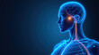 © Tameem - Vagus Nerve Stimulation, 3D rendering of human anatomy with highlighted internal nerve system.