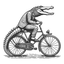 Anthropomorphic Alligator Riding Bike Free Stock Photo - Public Domain ...