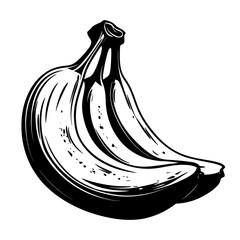 Wall Mural - Simple bananas linear illustration fruit black vector