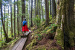 © Tetra Images - Rear view of woman walking on boardwalk in forest