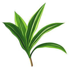 Poster - Tropical Dracaena trifasciata leaf leaves green illustration vector