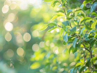 Wall Mural - Morning light filtering through tree leaves for a tranquil ambiance.