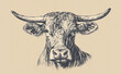 © HumanArtPixels - Cow, bull, farm. Vintage retro print, black white cow sketch ink pencil style drawing, engrave old school. Sketch artwork silhouette farm cow, white background. Side view profile. Illustration
