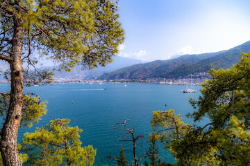 Wall Mural - Pine tree on the shore of the Gulf of Fethiye with a panorama of the city from a viewpoint hill of Karagozler. Fethiye, Mugla, Turkey. 